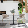 Mayfield Worrall Taupe Dining Chair Gold Legs (Discontinued )
