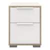 Axton Clason Bedside 2 Drawers in White and Oak